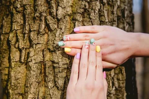 Manicure on a background of tree bark Stock Photos