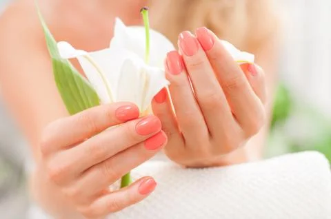 Manicure concept. Hand care at the spa. Beautiful woman's hands with perfect  写真素材