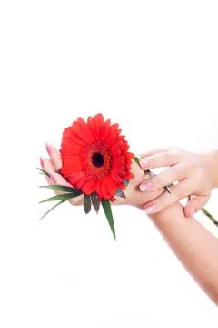 Manicure with flower in reflection 스톡 사진