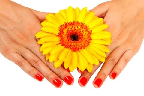 Manicure on hands Stock Photos