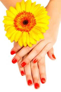 Manicure on hands Stock Photos