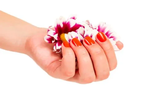 Manicure on hands Stock Photos