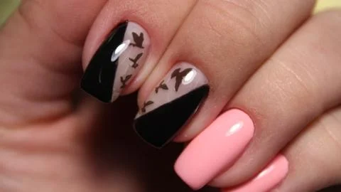 Manicure with long nails on a trendy texture background Stock Photos