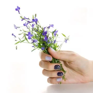 Manicure Stock Photos