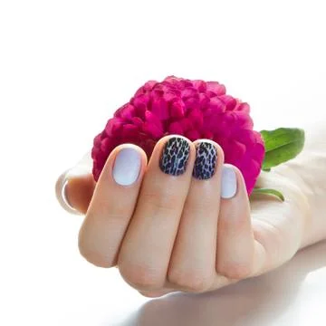 Manicure Stock Photos