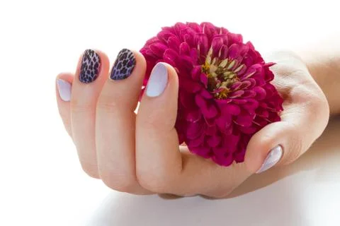 Manicure Stock Photos