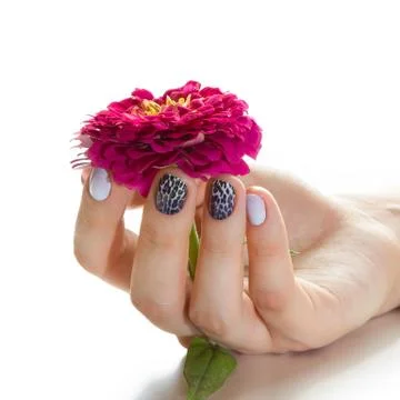 Manicure Stock Photos