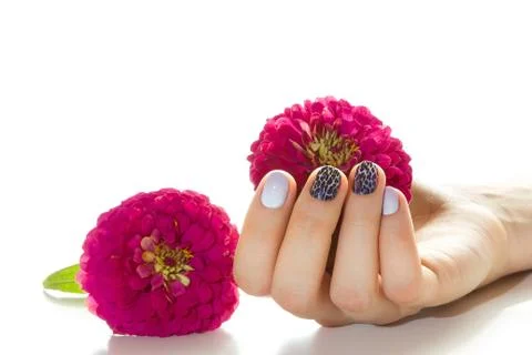 Manicure Stock Photos