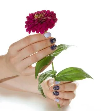 Manicure Stock Photos