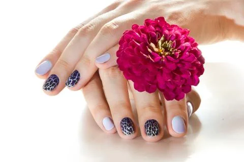 Manicure Stock Photos