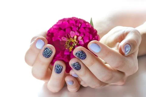 Manicure Stock Photos