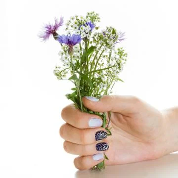 Manicure Stock Photos