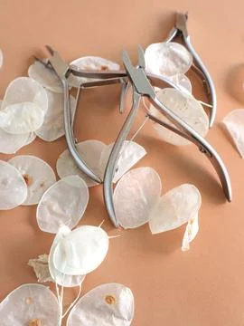 Manicure tools on a brown background in white husks. Beauty salon, aesthetics. Foto stock