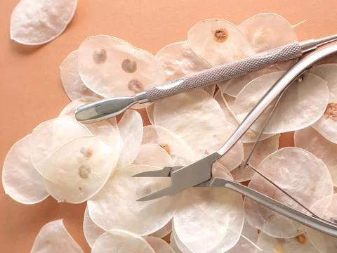 Manicure tools on a brown background in white husks. Beauty salon, aesthetics. Stock Photos