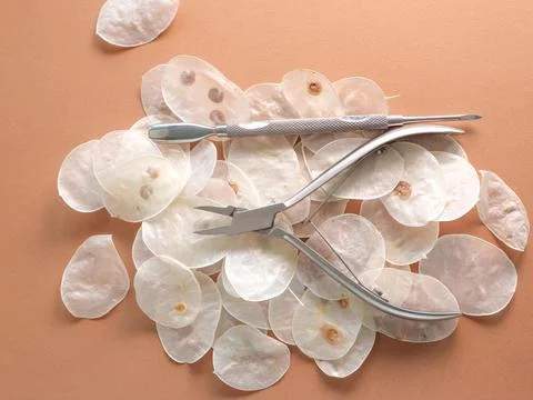 Manicure tools on a brown background in white husks. Beauty salon, aesthetics. Stock Photos
