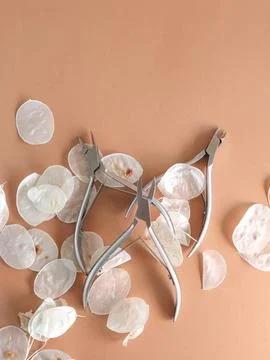 Manicure tools on a brown background in white husks. Beauty salon, aesthetics. Stock Photos