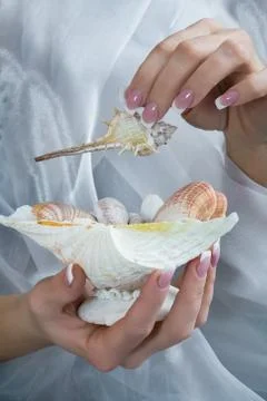 Manicured hands with shell Stock Photos