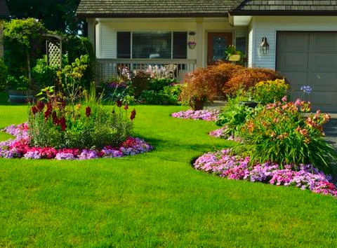 Manicured Yard 写真素材