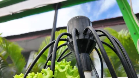 Manifold Distributing Nutrients in a Hydroponic Garden System Vídeo Stock 314363654