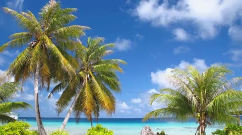 Manihi Lagoon Time Lapse Stock Footage 8954707