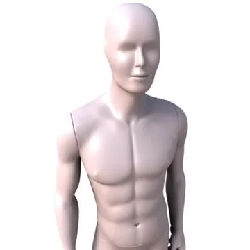 3D Model: Manikin B ~ Buy Now #91503025 | Pond5