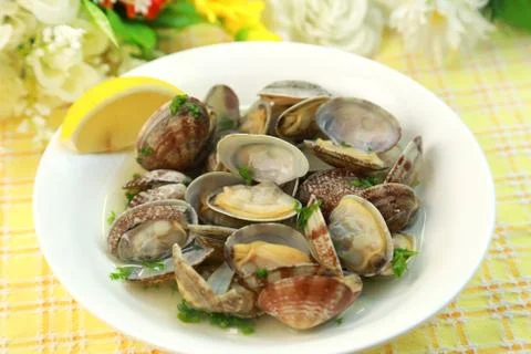 Manila clams Stock Photos