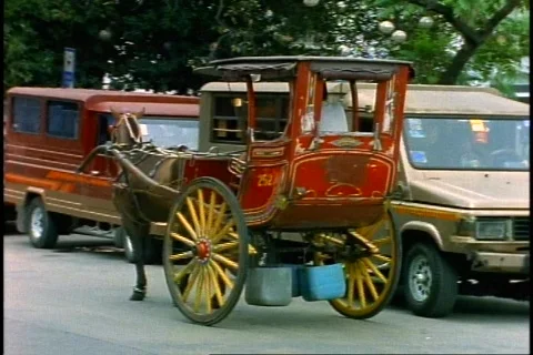 Manila, horse cart moving Video stock 868053
