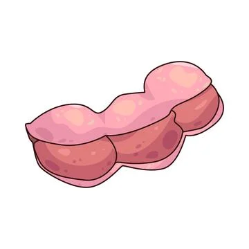 Manila Tamarind illustration Stock Illustration