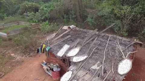 Manioc drying on the roofs Stock Footage 81067231