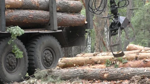 The manipulator on the car, the manipulator loads the logs close-up, loading Stock Footage 112673095