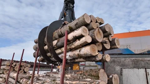 Manipulator crane unloads wood for processing. copter Stockbeeldmateriaal 294047947
