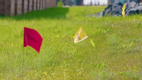 Manitoba Hydro Utility Locate Flags in Residential Lawn Stock Footage 344021196