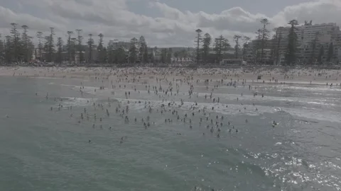 Manly Beach drone, low, wide, tracking in shot. Video stock 262697730