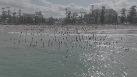 Manly Beach drone, low, wide, tracking right to left. Video stock 262697758