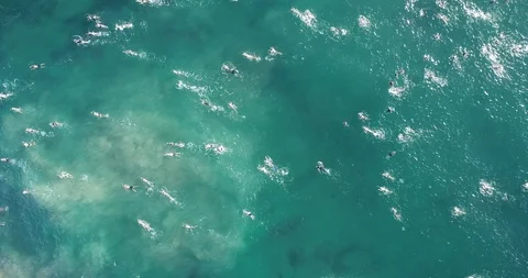 Manly beach, Sydney Australia Bold &amp; Beautiful swim 스톡 동영상 121865587