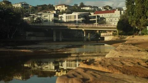 Manly Lagoon Park slow motion dolly 4K Video stock 245352942