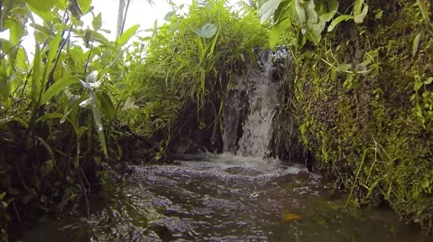 Manmade Waterfall marks Transition between Rice terraces 스톡 동영상 56500958
