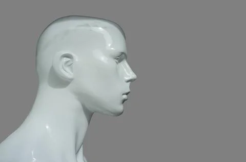 Mannequin bust profile. Isolated Stock Illustration