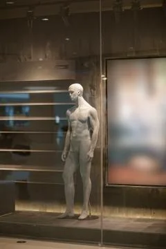 Mannequin, dummy Stock Photos