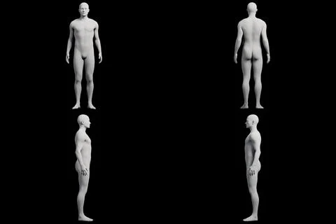 Mannequin figure model in 4-view collage Stock Illustration