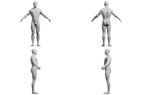 Mannequin figure model in 4-view collage Stock Illustration