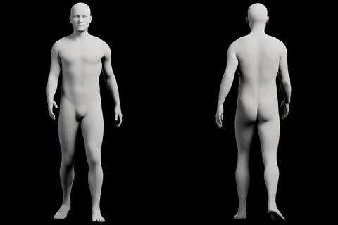 Mannequin figure model front and back 스톡 일러스트