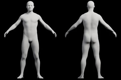 Mannequin figure model front back studio Stock Illustration
