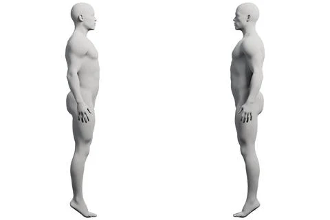 Mannequin figure model grid white background Stock Illustration