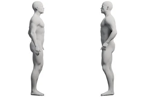 Mannequin figure model grid white background 스톡 일러스트