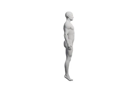 Mannequin figure model in studio Stock Illustration