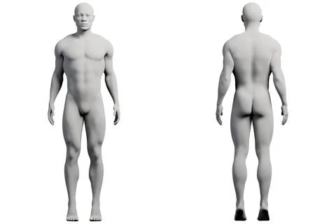 Mannequin figure model in studio Stock Illustration