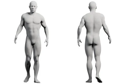 Mannequin figure model in studio Stock Illustration