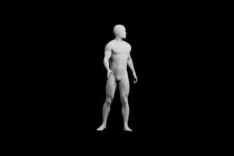 Mannequin figure standing front view studio Stock Illustration
