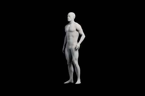 Mannequin figure standing side view studio lighting Stock Illustration